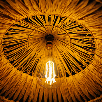 bacan_interno